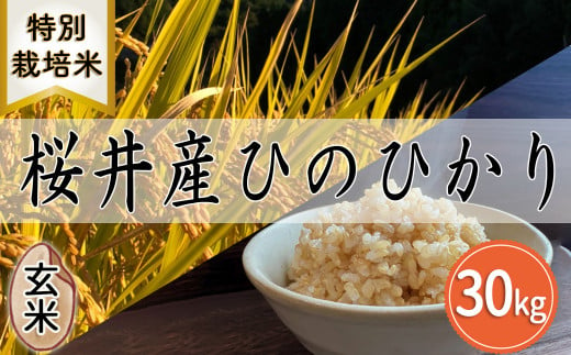 M-FA2.【特別栽培米】桜井市高家産 ヒノヒカリ 30kg×1袋（玄米）