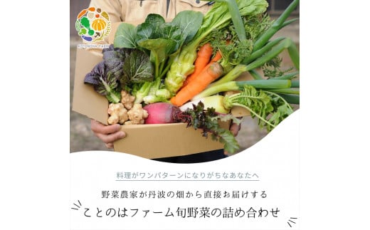 ことのはファーム旬野菜の詰め合わせ 1335256 - 兵庫県丹波市