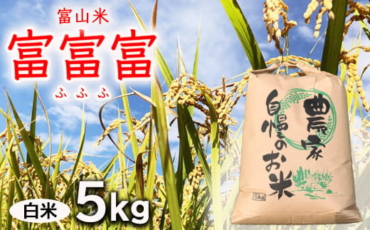 【新米予約】農家直送「 富富富 」5kg（