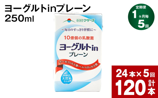 【1ヶ月毎5回定期便】ヨーグルトinプレーン 250ml 計120本（24本×5回）