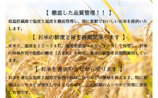 【無洗米】はえぬき20kg（5kg×4袋）令和5年産米