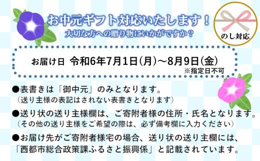 お中元ギフト】今が旬！【杉田農園】西都市産 完熟マンゴー 2玉 900g~1kg 化粧箱入 生産者直送 宮崎マンゴー ＜1.6-3＞ 果物 フルーツ  甘い 残りわずか - 宮崎県西都市｜ふるさとチョイス - ふるさと納税サイト