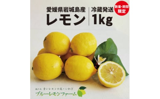 愛媛　ブルーレモンファームのレモン　1kg＜冷蔵便＞期間・数量限定【1504315】
