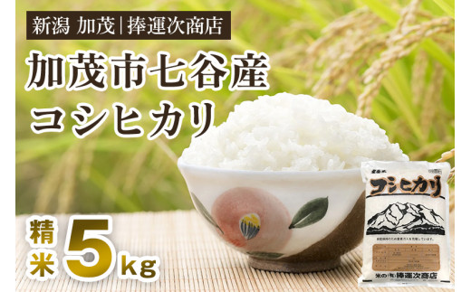 【令和6年産新米】新潟県加茂市七谷産コシヒカリ 精米5kg 白米 捧運次商店 487952 - 新潟県加茂市