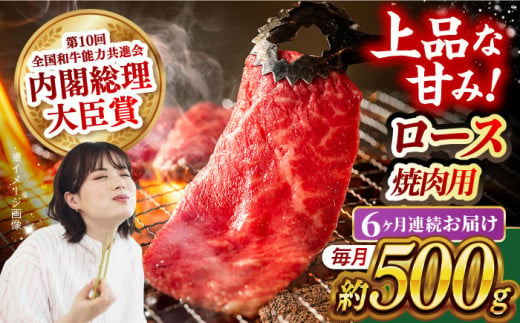 【月1回約500g×6回定期便】長崎和牛 ロース 焼肉用 計3kg 長崎県/長崎県農協直販 [42ZZAA165]　 肉 牛 和牛 ロース 焼肉 焼き肉 西海市 長崎 九州 定期便 948664 - 長崎県長崎県庁