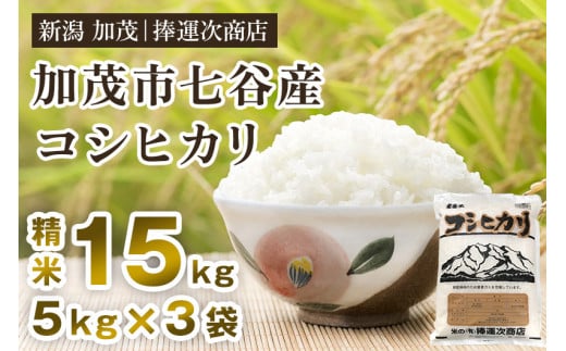 【令和5年産米】新潟県加茂市七谷産コシヒカリ 精米15kg（5kg×3）白米 捧運次商店 487962 - 新潟県加茂市