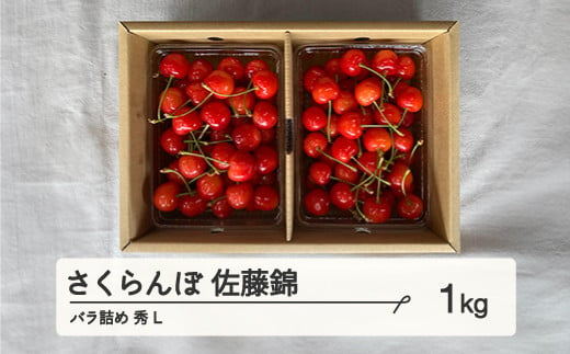 《先行予約》2025年 山形県産 さくらんぼ 佐藤錦 バラ詰め 1kg 秀 L サクランボ フルーツ 果物 F21A-335 815644 - 山形県山辺町