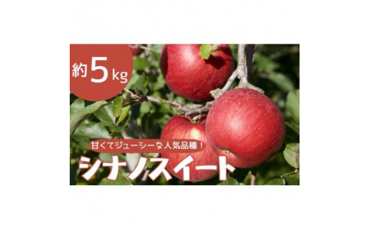 りんご シナノスイート 約5kg【1504882】 1334528 - 長野県中野市