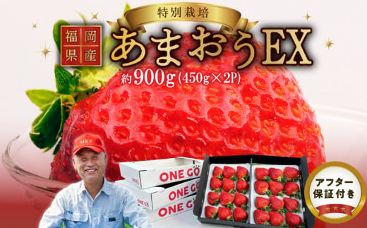 【2025年1月より順次発送】 ギフト配送 約450g×2パック EX 福岡県産あまおう〈特別栽培〉