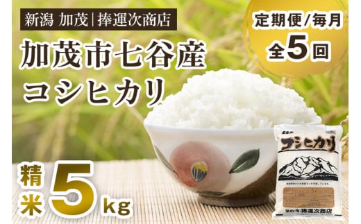 【令和6年産新米】【定期便5ヶ月毎月お届け】新潟県加茂市七谷産コシヒカリ 精米5kg 白米 捧運次商店 定期便 1014277 - 新潟県加茂市