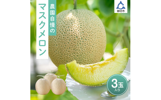 農園自慢の「マスクメロン」×3玉入り《先行予約》2026年6月下旬から順次発送【配送不可地域：北海道 ・青森・秋田・岩手・沖縄・離島】