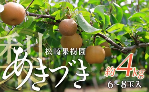 梨「あきづき」約4kg（6～8玉入）【松崎果樹園】