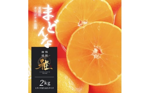 極撰 柑橘 “ 雅 ” 光センサー 合格品