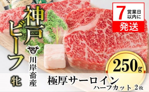 【春季限定】神戸ビーフ牝「サーロインステーキ」が登場！牧場直営だから出来る厳選肉を極厚のハーフステーキサイズにカットしました。