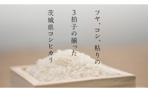 新米】令和6年産 茨城 こしひかり 10kg（5kg×2本） 精米 茨城県 国産 お米 米 コメ 白米 ライス ご飯 おいしい コシヒカリ ごはん  新生活 プレゼント 新生活応援 必要なもの 便利 おすすめ 消耗品 一人暮らし 二人暮らし 必要 - 茨城県つくばみらい市｜ふるさとチョイス ...