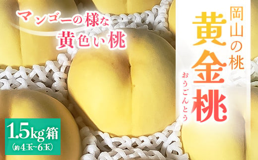 【2024年8月上旬より発送予定】岡山県産・マンゴーの様な黄色い桃・黄金桃(1.5kg箱) TY0-0593　