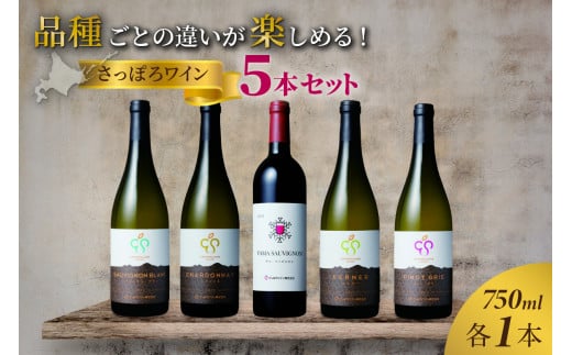 品種ごとの違いが楽しめる！さっぽろワイン５本セット 936721 - 北海道札幌市