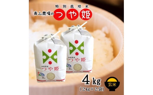 【令和5年産・玄米】青山農場の特別栽培米つや姫4kg（2kg×2袋）