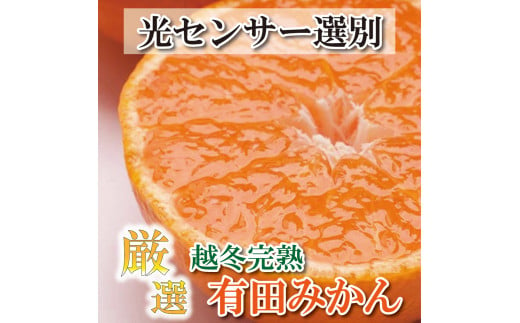 [先行予約]厳選 越冬完熟みかん1.5kg+45g(傷み補償分)ハウスみかん・木熟みかん[光センサー選別][1月より発送]※北海道・沖縄・離島への配送不可[ikd157]