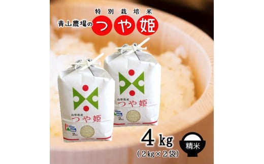 【令和5年産・精米】青山農場の特別栽培米つや姫4kg（2kg×2袋）