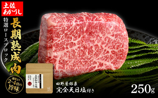 特選 ロースブロック 土佐あかうし 長期熟成肉 250g 田野屋銀象 完全天日塩付き ロース 牛肉 ブロック 肉 お肉 和牛 国産 牛 熟成肉 ブロック肉 豪華 贅沢 真空パック 冷凍配送