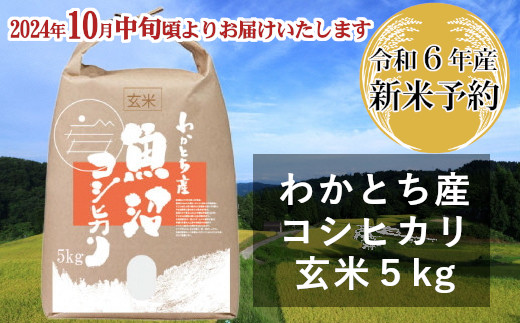 日本一のブランド米「魚沼産コシヒカリ」玄米