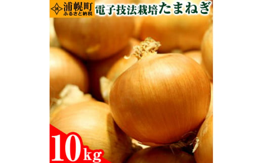 北海道浦幌町のふるさと納税 十勝 電子技法栽培たまねぎ 約10kg 《10月上旬から順次出荷》橋枝物産　北海道　浦幌町