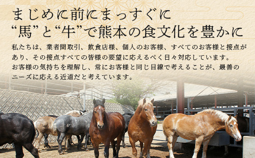 熊本特産 馬刺し 赤身 食べ比べ セット