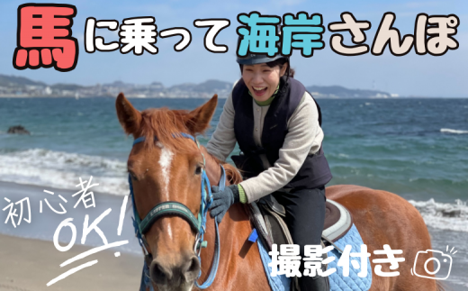B84-001 馬と風光明媚な三浦の街と海岸で過ごす　馬に乗って三浦をお散歩～海岸外乗120分～ 1336491 - 神奈川県三浦市