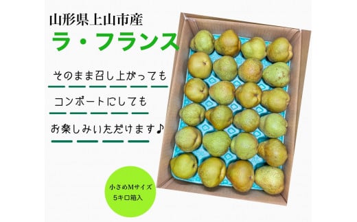 西洋梨（ラ・フランス）５ｋｇ　Ｍサイズ　ご家庭用　0055-2416 539955 - 山形県上山市