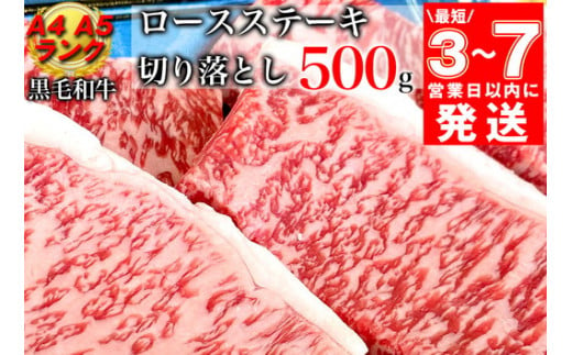 [7営業日以内発送]京の肉 ひら山厳選 京都府産 黒毛和牛 ロース ステーキ 切り落とし 100g×5枚 計500g|特選 A5・A4ランク 熟成肉 和牛 牛肉 京都肉 国産 丹波産 冷凍