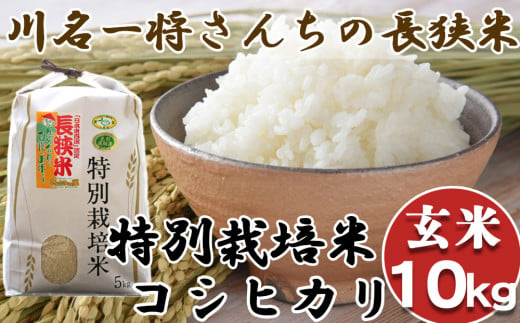 【令和6年産】川名一将さんちの長狭米 特別栽培米コシヒカリ10kg【玄米】[0024-0010] 410898 - 千葉県鴨川市