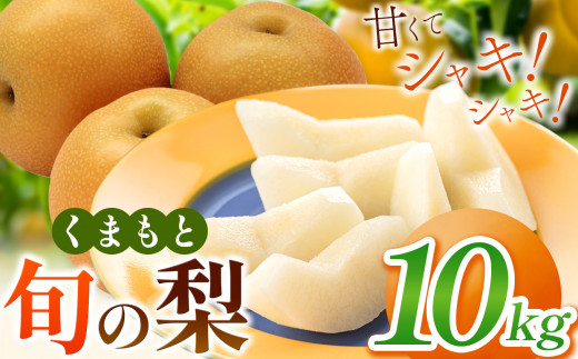 くまもと 旬の 梨 約 10kg | フルーツ 果物 くだもの なし ナシ 梨 旬 熊本県 玉名市 1336588 - 熊本県玉名市