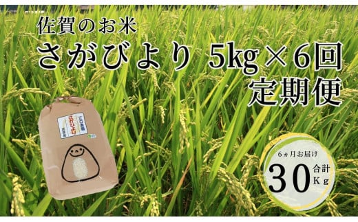 佐賀のお米 定期便 さがびより5kg×6回