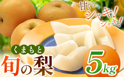 くまもと 旬の 梨 約 5kg | フルーツ 果物 くだもの なし ナシ 梨 旬 熊本県 玉名市