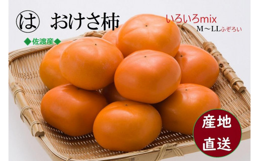 【先行予約】ふぞろいmixおけさ柿　約5kg（25～31個）（家庭用） 1336146 - 新潟県佐渡市