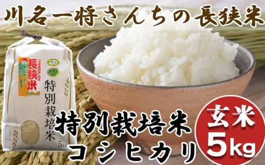 【令和5年産】川名一将さんちの長狭米 特別栽培米コシヒカリ5kg【玄米】[0010-0175]