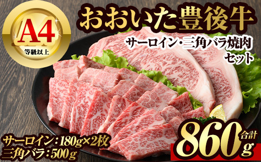 豊後牛 サーロイン・三角バラ 焼肉セット(860g) 牛肉 黒毛和牛