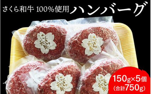 ハンバーグ 150g×5個（合計750g）栃木県産 さくら和牛100% 冷凍 牛肉 牛 ビーフ 冷凍ハンバーグ 個別 真空 ギフト