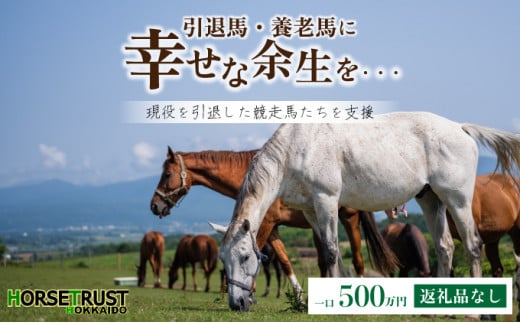 【引退競走馬 余生支援】北海道 岩内町 ホーストラスト北海道支援 500万円コース 引退馬 F21H-571 1034977 - 北海道岩内町