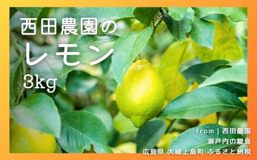 [2~3月発送] 大崎上島産 西田農園のレモン 約3kg（30個程度） 1338063 - 広島県大崎上島町