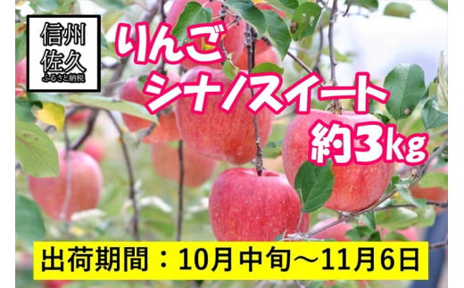 りんご　シナノスイート　大玉７～１２個　約３kg　長野県佐久市産　（沖縄、離島への発送不可）【出荷時期：2024年10月10日出荷開始～2024年11月6日出荷終了】【梅屋果樹園　標高750ｍ　斜面を活用　色づき、糖度、肉質に優れ 長野県 佐久市 】 1405217 - 長野県佐久市