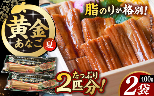 【長崎俵物】 対洲黄金あなご 200g×2袋  夏（なつ） 長崎県/長崎漁港水産加工団地協同組合 [42ZZAD018] アナゴ 冷凍 煮穴子 穴子 魚 海鮮 910571 - 長崎県長崎県庁