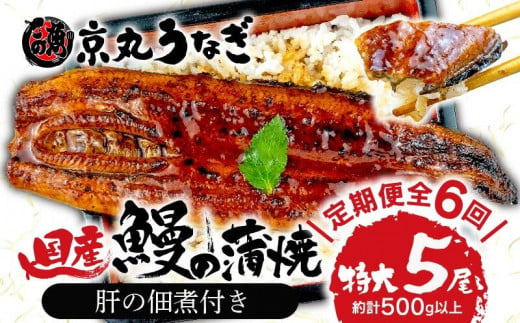 [ 6カ月定期便 ]国産 うなぎ 蒲焼 鰻 たっぷり 5尾 約500g 冷凍 肝 佃煮 ギフトボックス セット 老舗 専門店 うなぎ処京丸 定期便 静岡 土用 丑の日