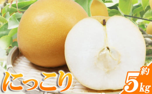 [先行予約]にっこり | 梨 なし ナシ 甘い ジューシー 果物 フルーツ 栃木県産