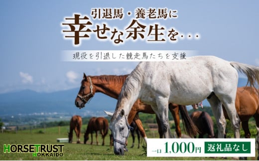 【引退競走馬 余生支援】北海道 岩内町 ホーストラスト北海道支援 1000円コース 引退馬 F21H-569 1034975 - 北海道岩内町