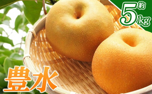 【先行予約】豊水 | 梨 ナシ なし 甘い ジューシー 果物 フルーツ 栃木県産