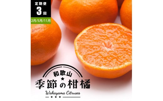 【 2・5・11月 全3回 】 柑橘定期便A【IKE7】 1337647 - 和歌山県印南町