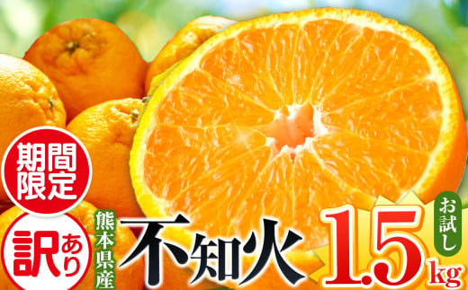 [先行予約][訳あり]ご家庭用 不知火 お試し1.5kg | 熊本県 熊本 くまもと 和水町 なごみ 柑橘 柑橘類 訳あり 果物 フルーツ 季節の果物