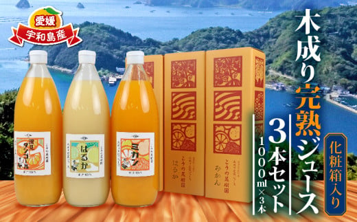 10営業日以内発送／ 完熟 みかんジュース 化粧箱入り 木成り 3本セット 1000ml×3本 こうの果樹園 みかん ジュース ストレート  ストレートジュース 100%ジュース 果汁 飲料 フルーツ 100％ 甘い さっぱり 蜜柑 ギフト 産地直送 数量限定 国産 愛媛 宇和島  H020-182002 ...